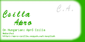 csilla apro business card